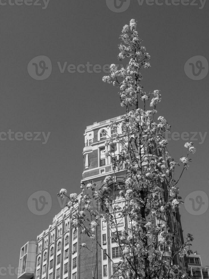 Madrid y Toledo en España foto