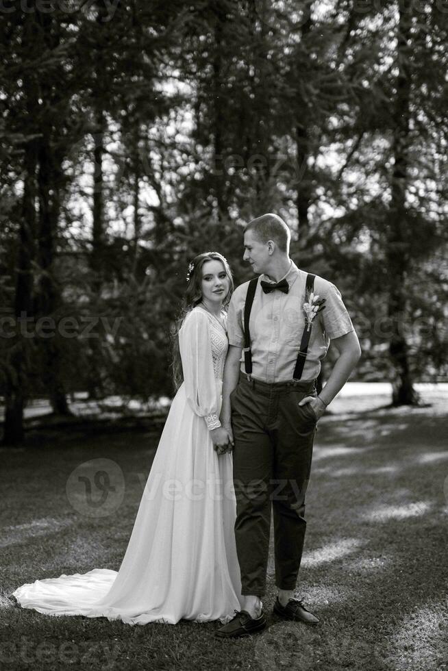 wedding walk of the bride and groom in a coniferous photo