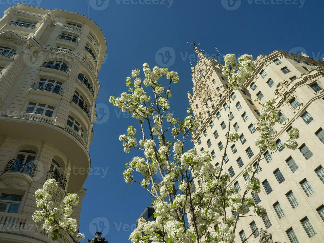 the city od Madrid photo