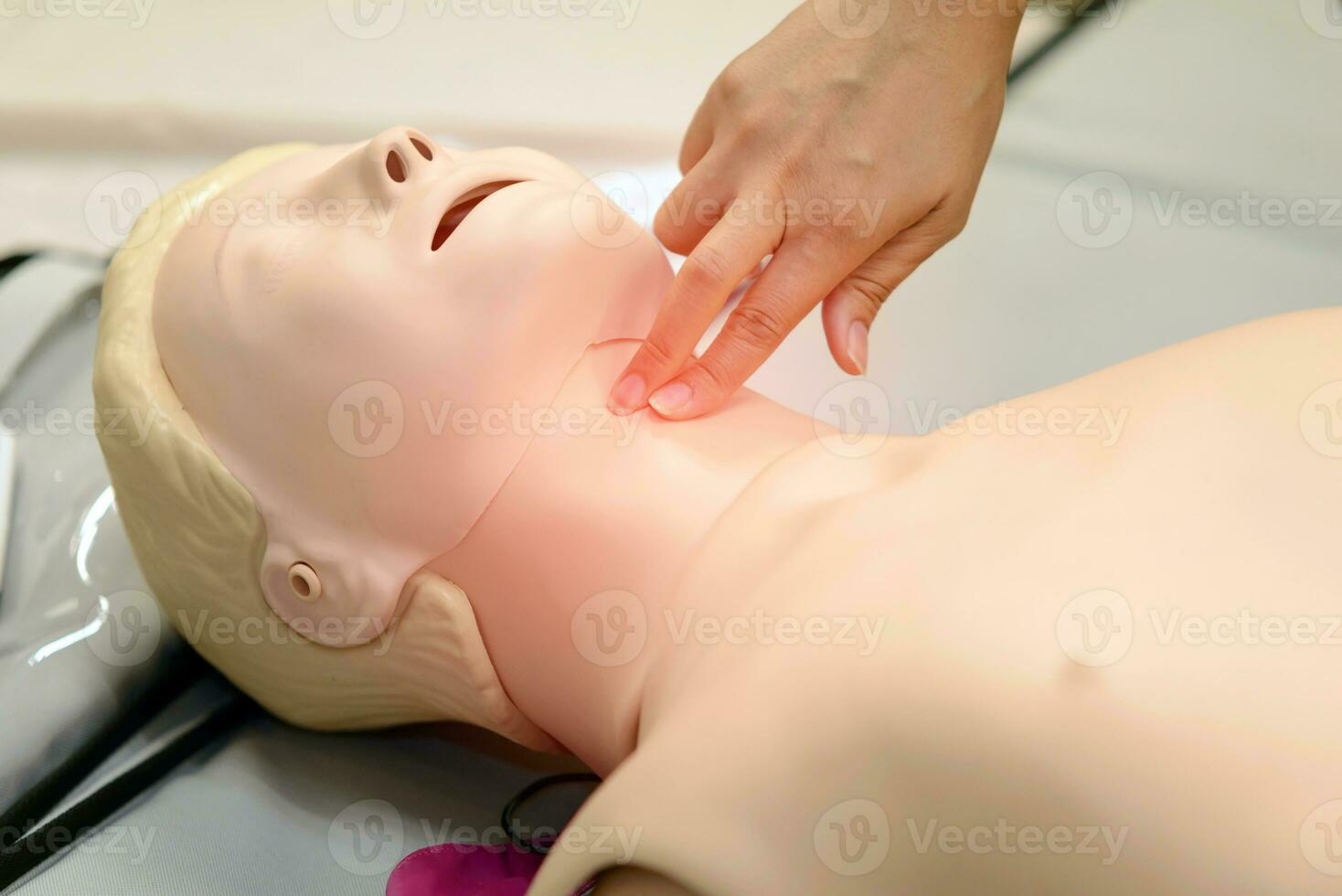 check pulse - CPR First Aid Training with CPR dummy in the class photo