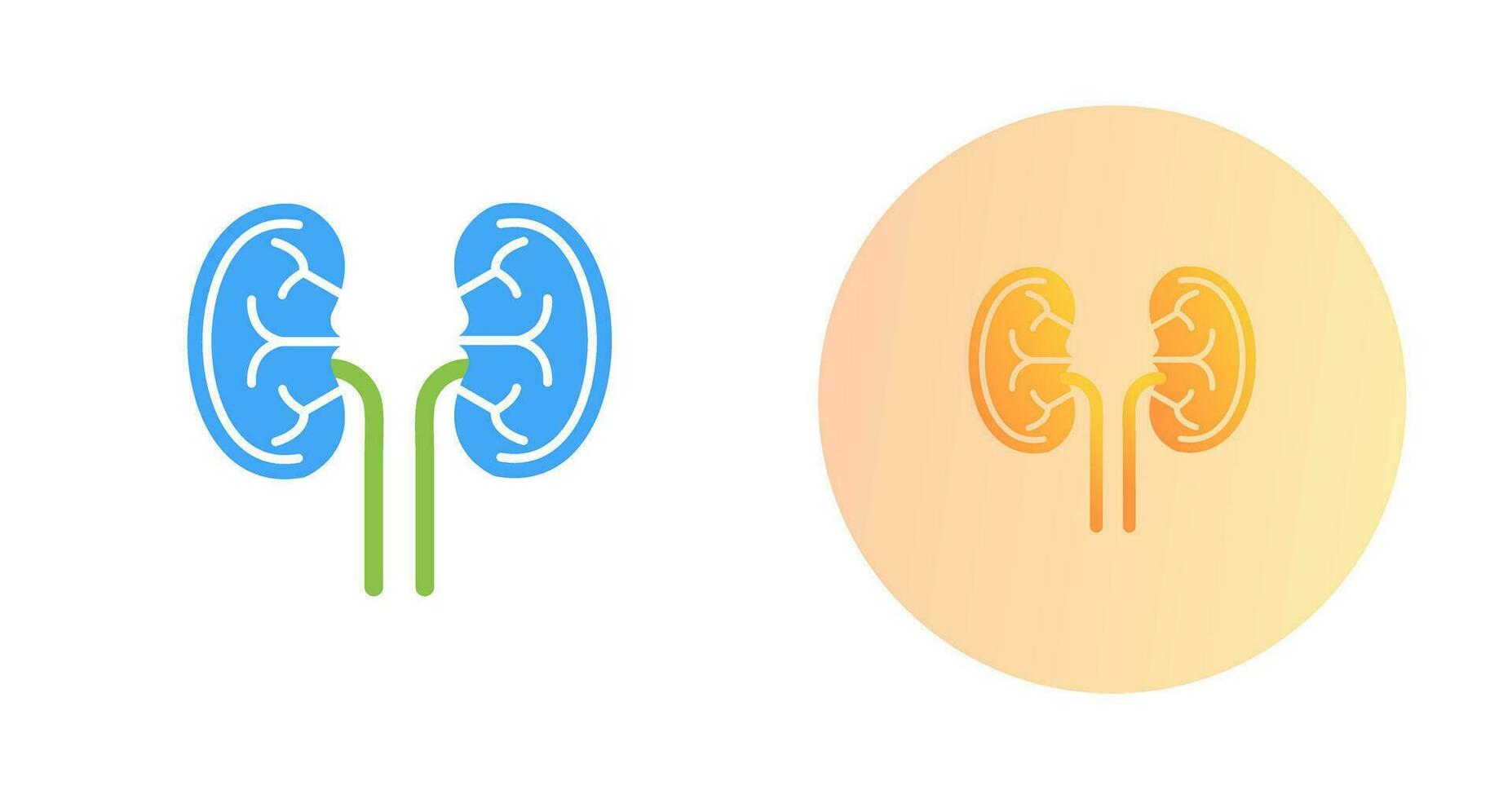 Kidney Vector Icon