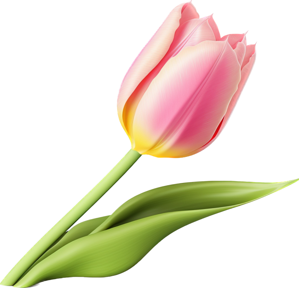 Tulip png with AI generated.