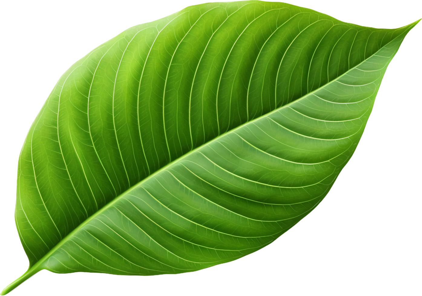 Leaf png with AI generated.