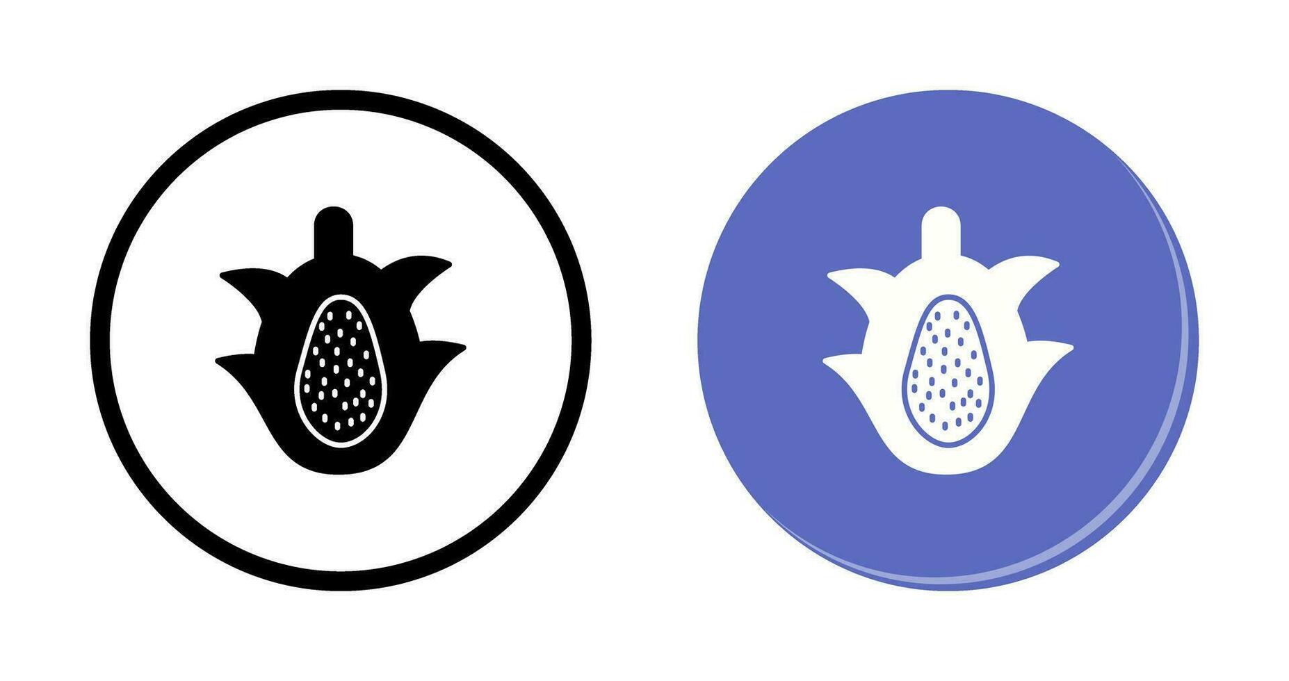 icono de vector de fruta de dragón