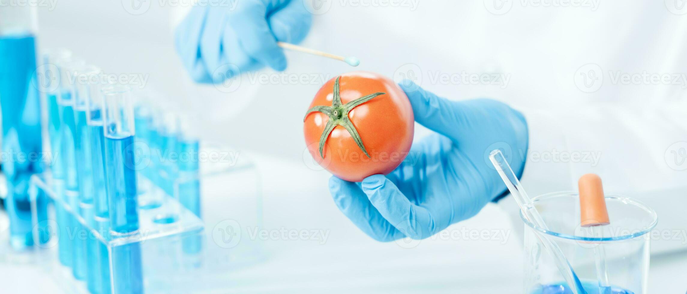 Scientist check chemical food residues in laboratory. Control experts inspect quality of fruits, vegetables. lab, hazards, ROHs, find prohibited substances, contaminate, Microscope, Microbiologist photo