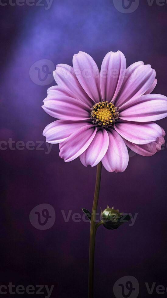 AI Generative purple flower with dark purple background photo