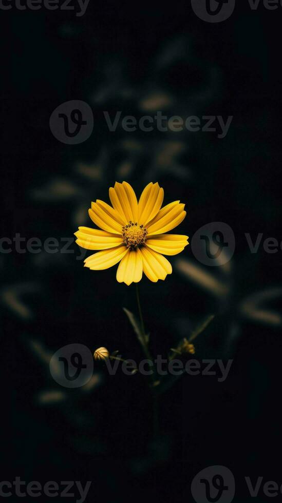 AI Generative single yellow flower in a dark photo
