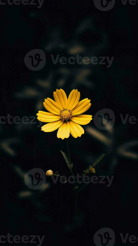 ai generativo soltero amarillo flor en un oscuro foto