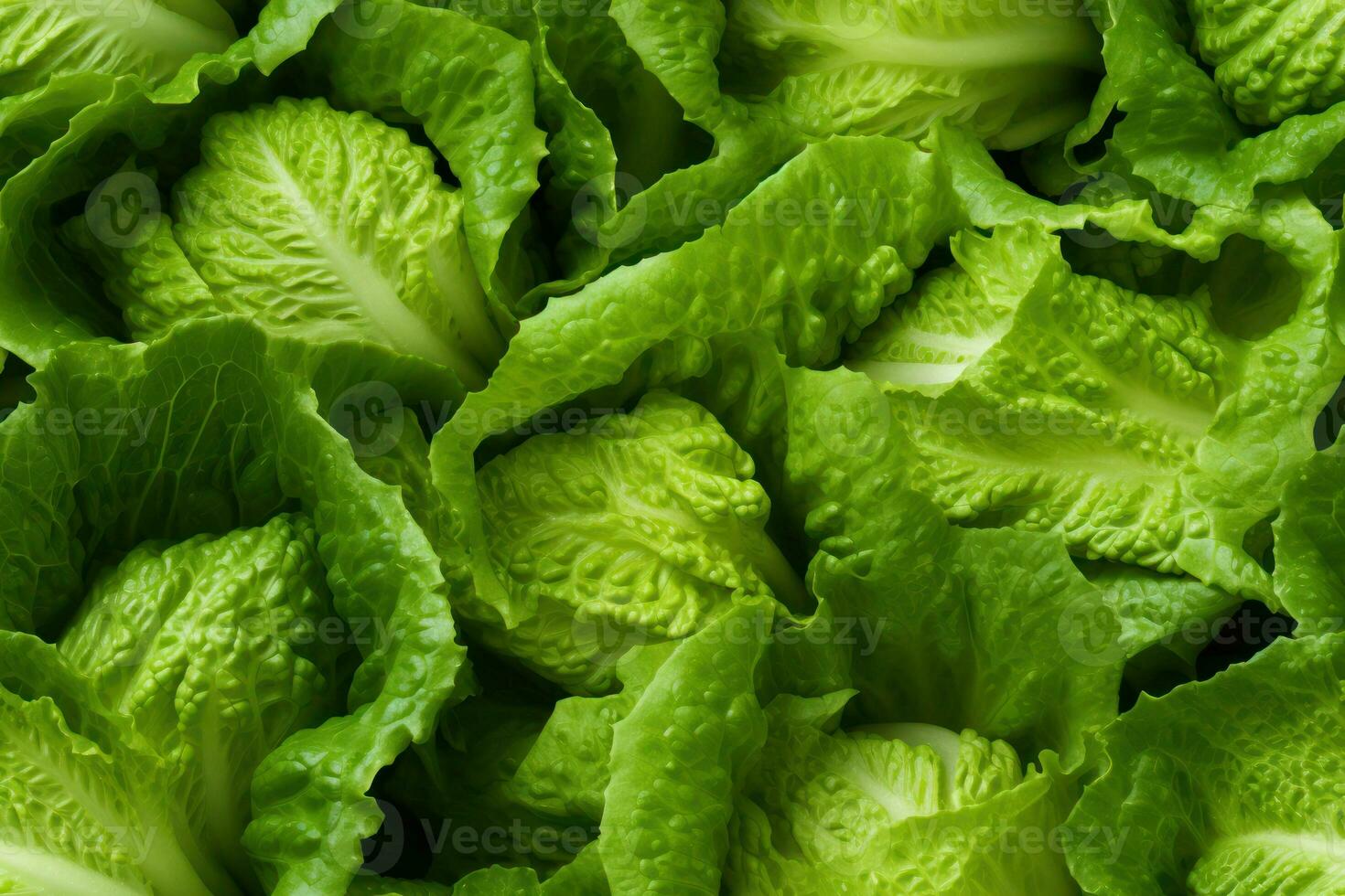 Close up of fresh lettuce , top view, seamless pattern. Generative Ai photo