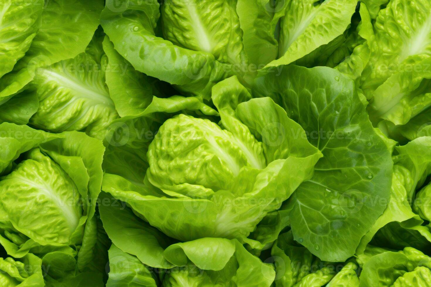 Close up of fresh lettuce , top view, seamless pattern. Generative Ai photo