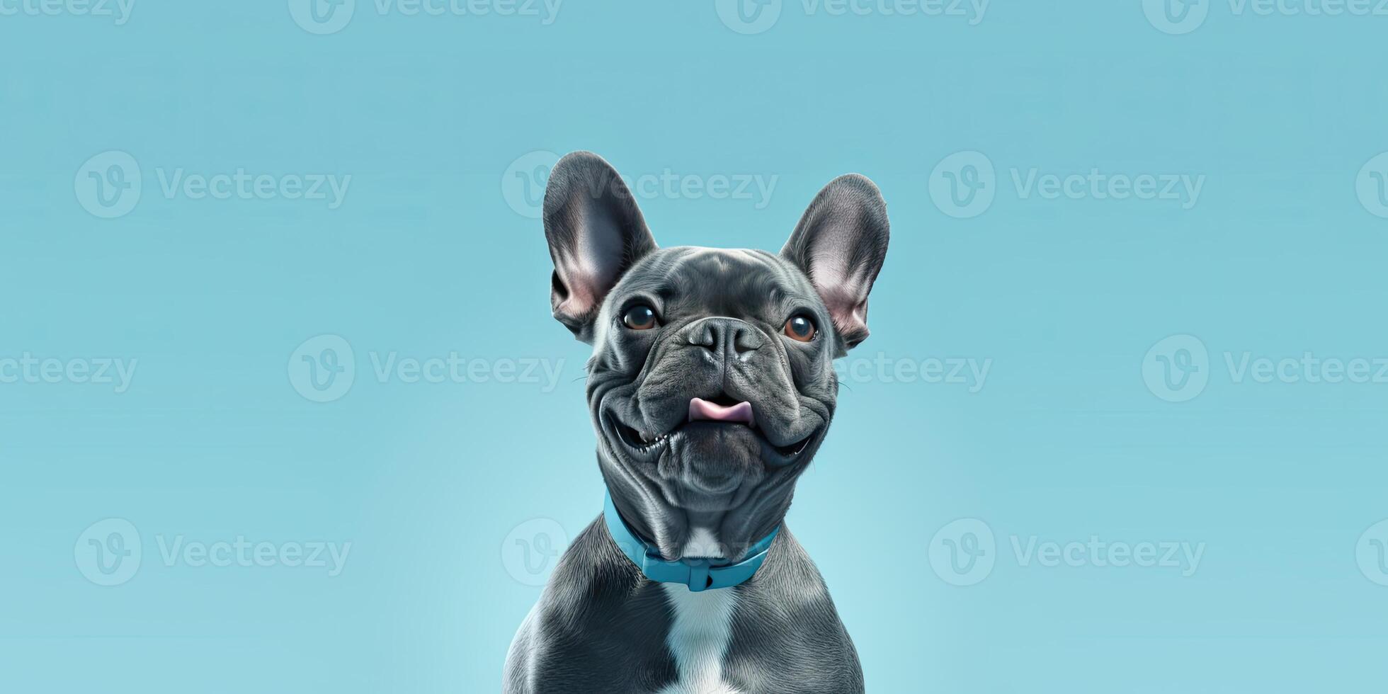 Dog portrait on a minimal background, photo