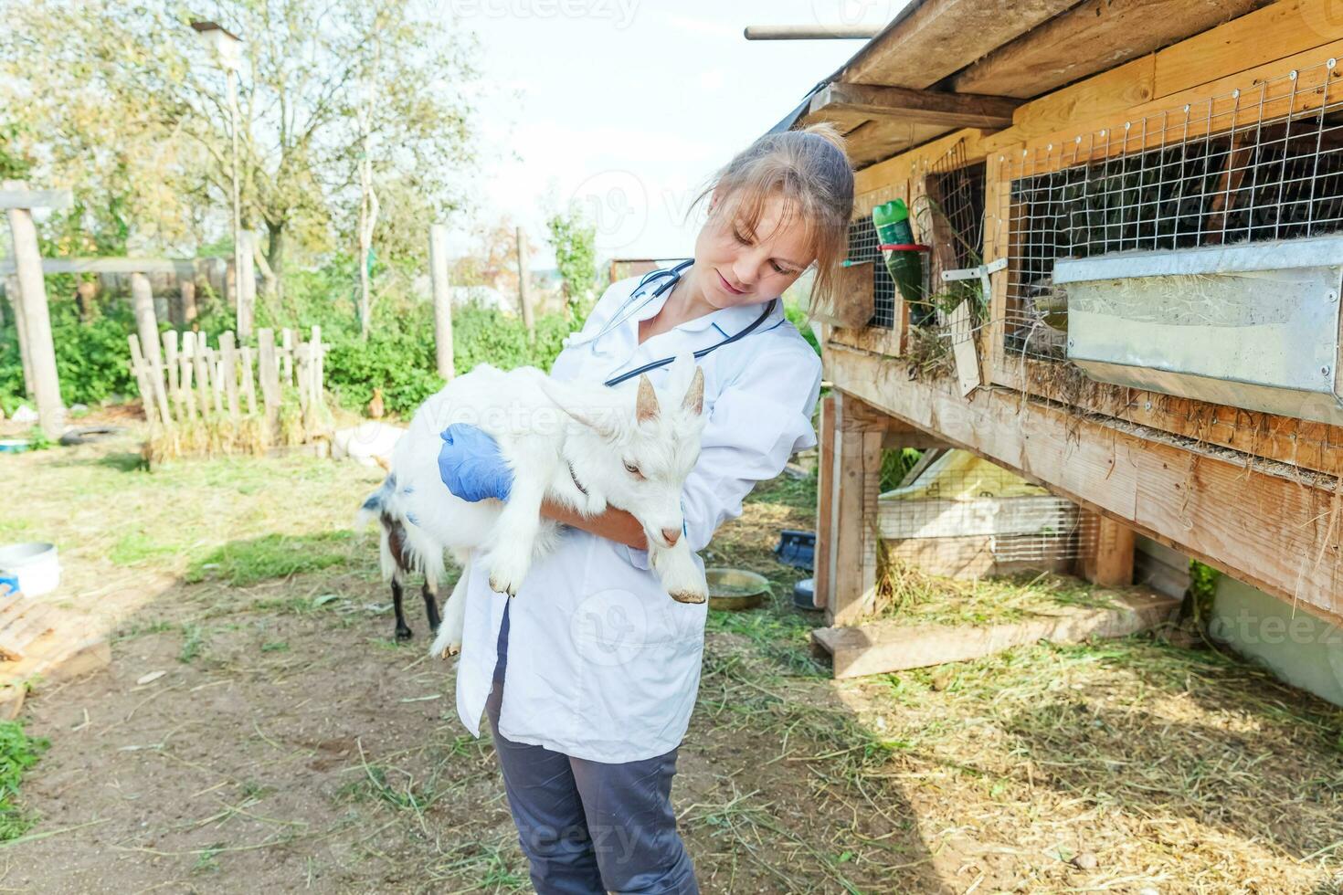 veterinarian woman with stethoscope holding and examining goat kid on ranch background. Young goatling with vet hands for check up in natural eco farm. Animal care and ecological farming concept. photo