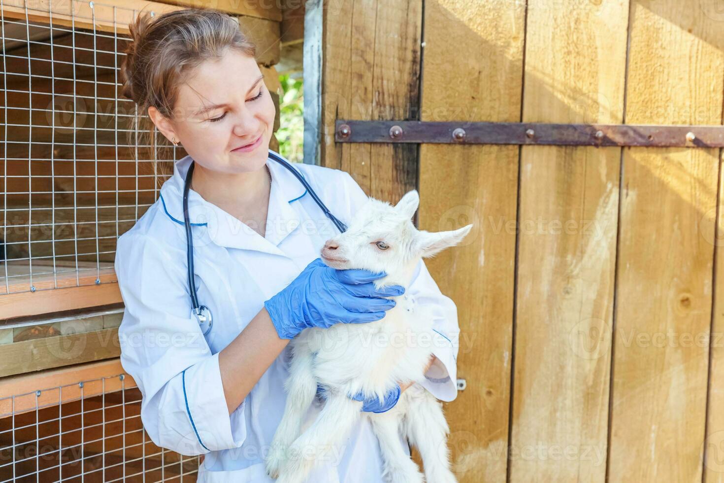 Young veterinarian woman with stethoscope holding and examining goat kid on ranch background. Young goatling in vet hands for check up in natural eco farm. Modern animal livestock, ecological farming. photo
