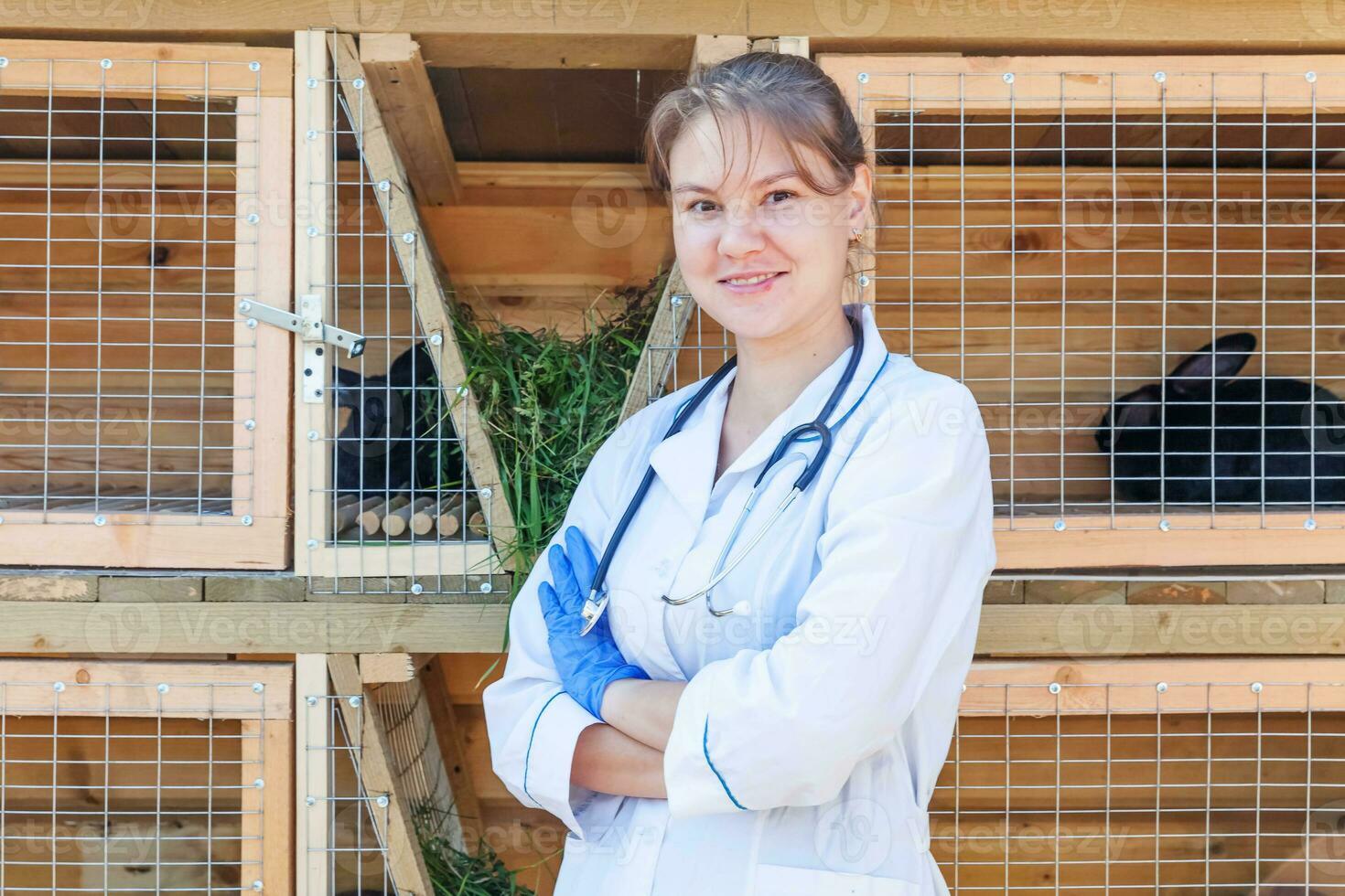 Veterinarian woman with stethoscope on barn ranch background. Vet doctor check up rabbit in natural eco farm. Animal care and ecological livestock farming concept. photo