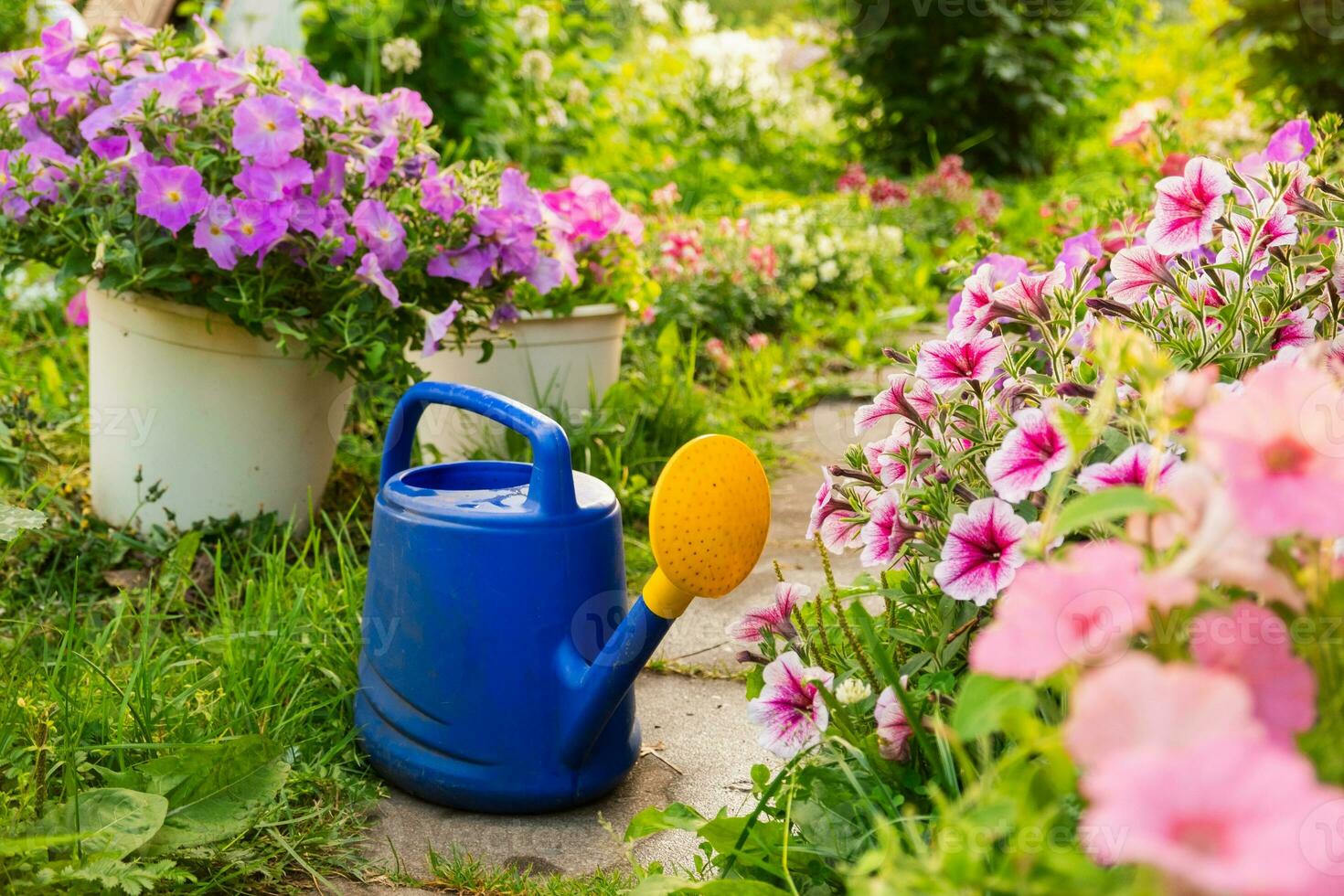 Farm worker gardening tools. Blue plastic watering can for irrigation plants placed in garden with flowers on flowerbed and flowerpot on sunny summer day. Gardening hobby agriculture concept. photo