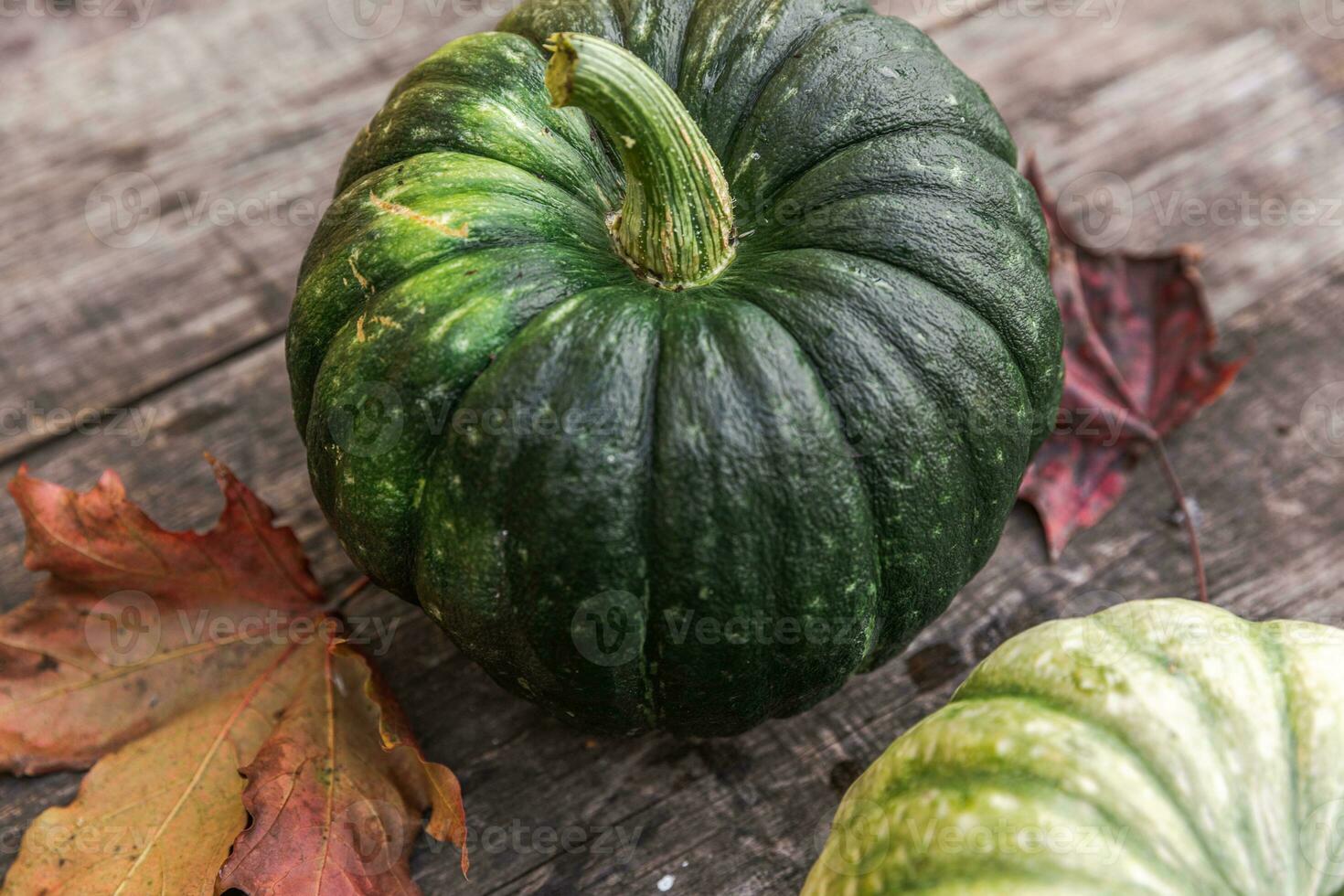 Autumnal Background. Natural autumn fall view pumpkins on wooden background. Inspirational october or september wallpaper. Change of seasons ripe organic food concept, Halloween party Thanksgiving day photo