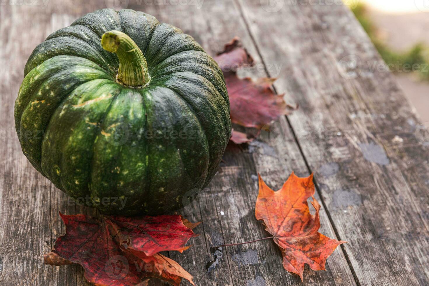 Autumnal Background. Natural autumn fall view pumpkin on wooden background. Inspirational october or september wallpaper. Change of seasons ripe organic food concept, Halloween party Thanksgiving day photo