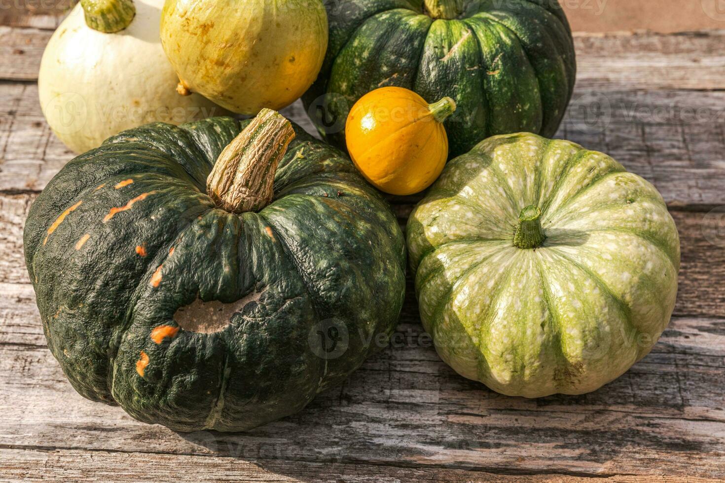 Autumnal Background. Natural autumn fall view pumpkins on wooden background. Inspirational october or september wallpaper. Change of seasons ripe organic food concept, Halloween party Thanksgiving day photo