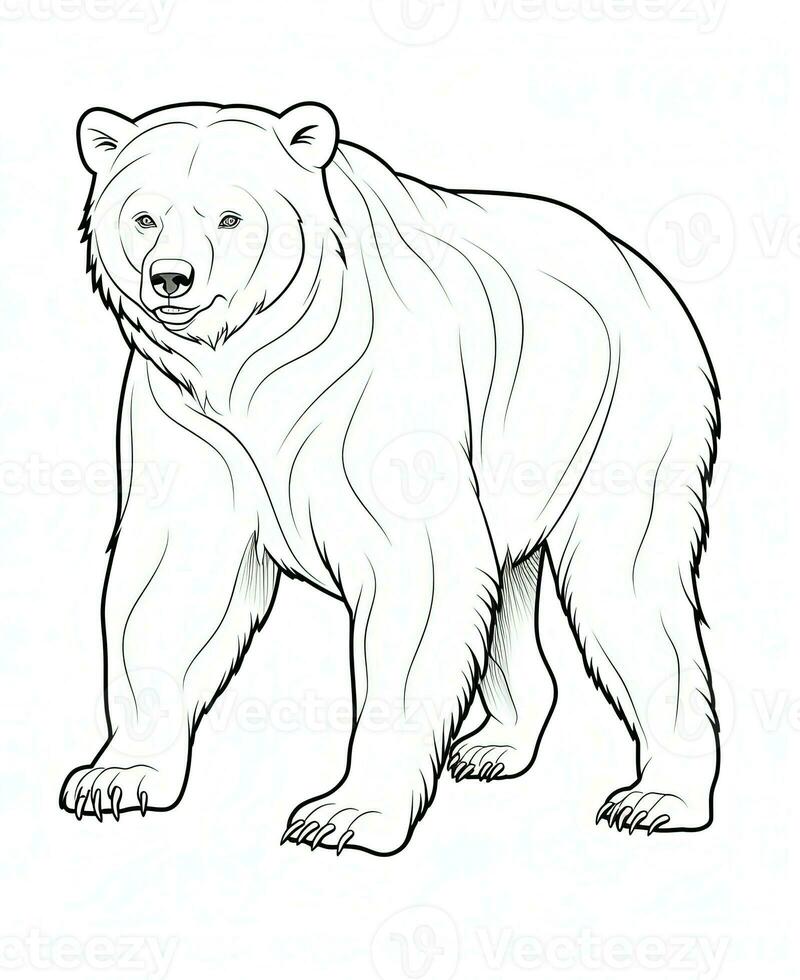 vector of bear in black and white coloring. Animal coloring page. Generative AI photo
