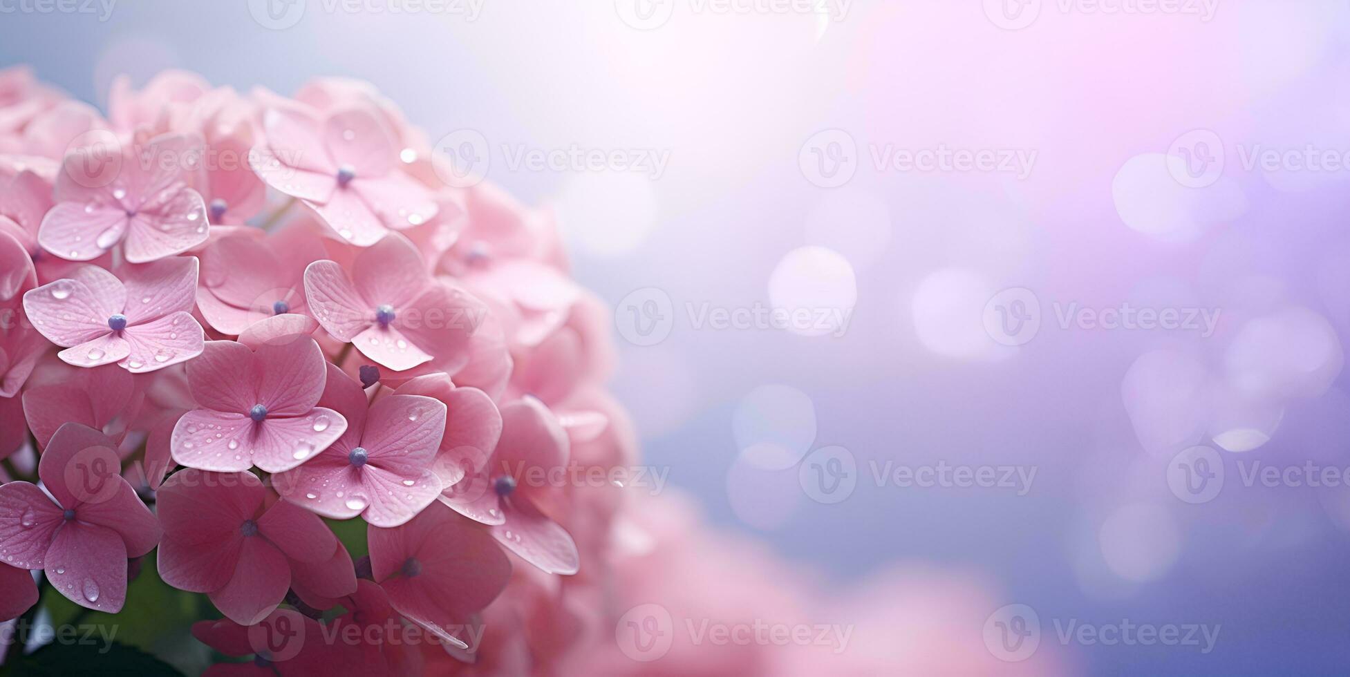 beautiful hydrangea flowers blank space background, ai generative photo