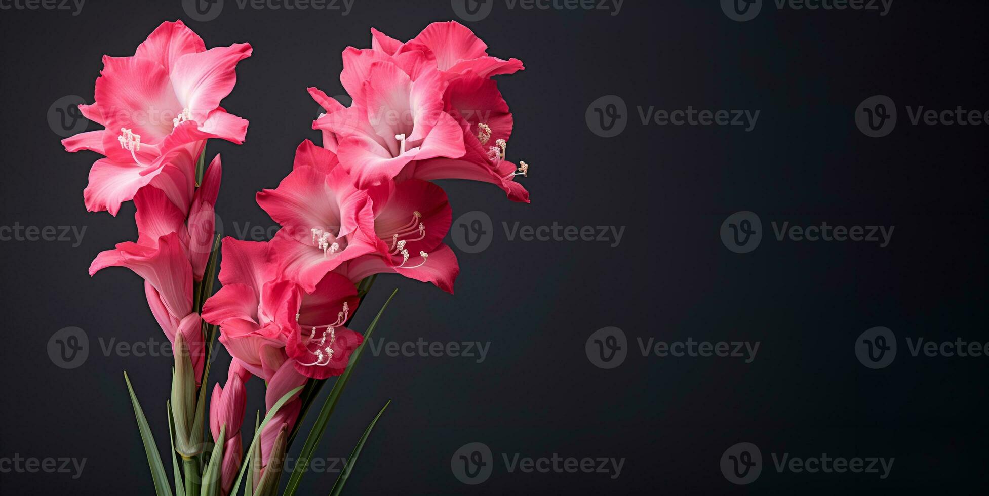 beautiful hibiscus flower macro blank space, ai generative photo