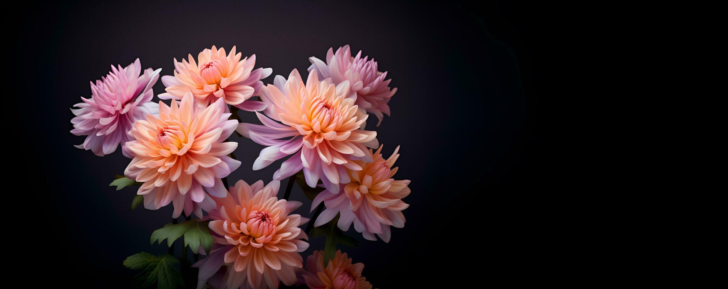 beautiful chrysanthemum flower macro blank space, ai generative photo
