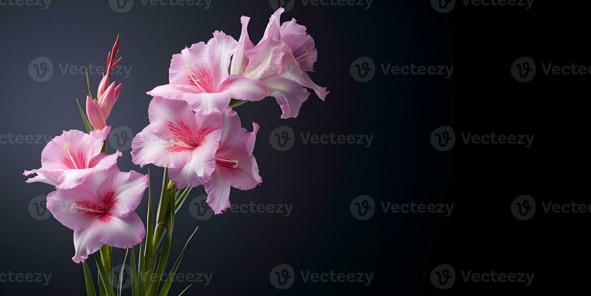 beautiful hibiscus flower macro blank space, ai generative photo
