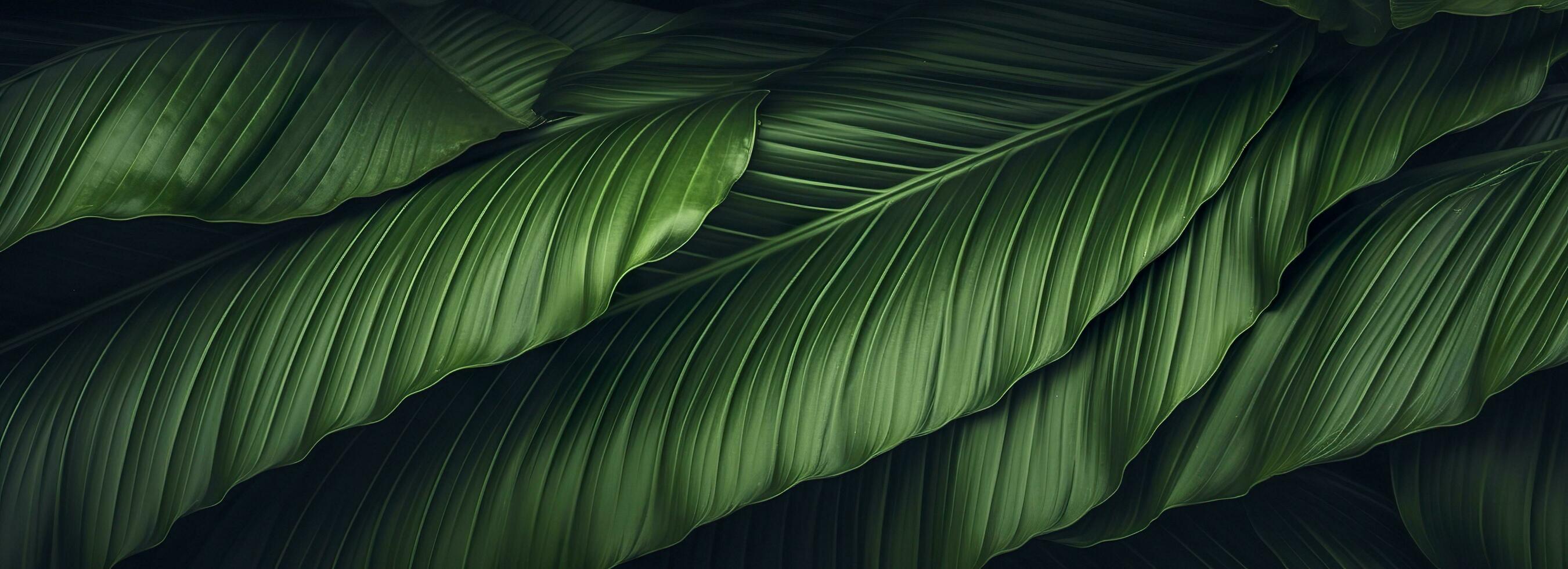 Abstract green leaf texture with nature background, tropical leaf. Generative AI photo