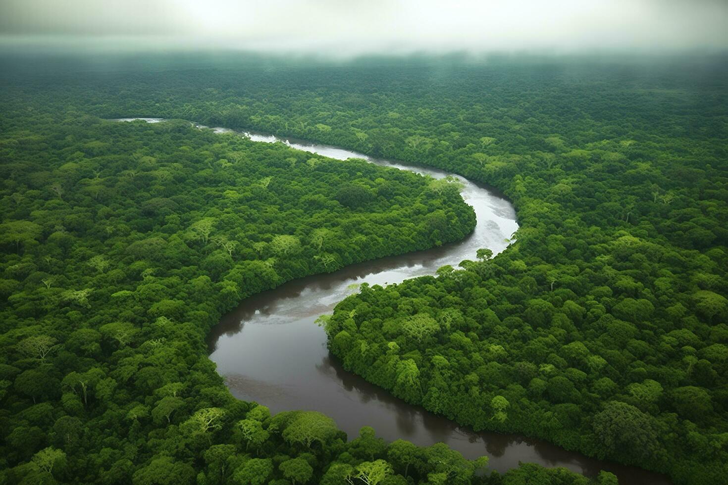 Aerial view of the Amazonas jungle landscape with river bend. Generative AI photo