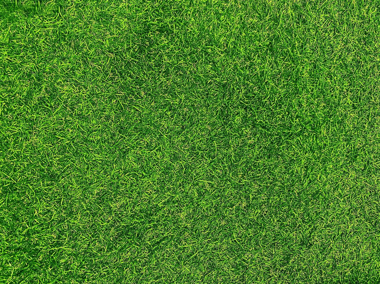 fondo de textura de hierba verde concepto de jardín de hierba utilizado para hacer campo de fútbol de fondo verde, golf de hierba, fondo de textura de patrón de césped verde. foto