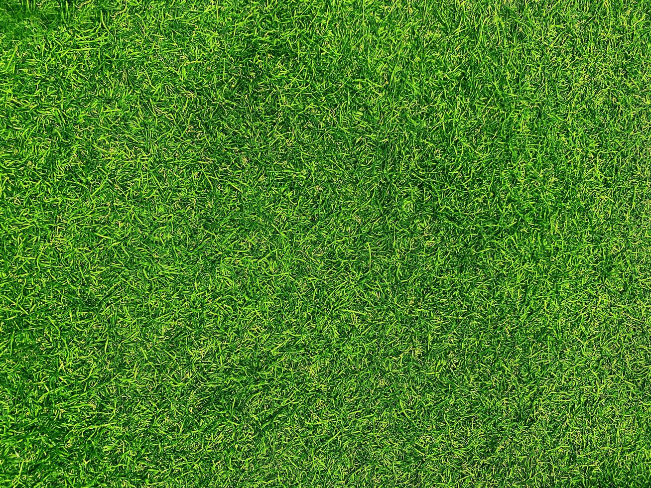 Green grass texture background grass garden concept used for making green background football pitch, Grass Golf, green lawn pattern textured background. photo