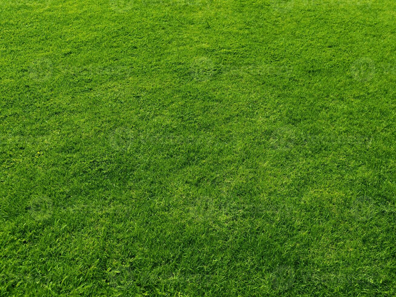 Green grass texture background grass garden concept used for making green background football pitch, Grass Golf, green lawn pattern textured background.. photo
