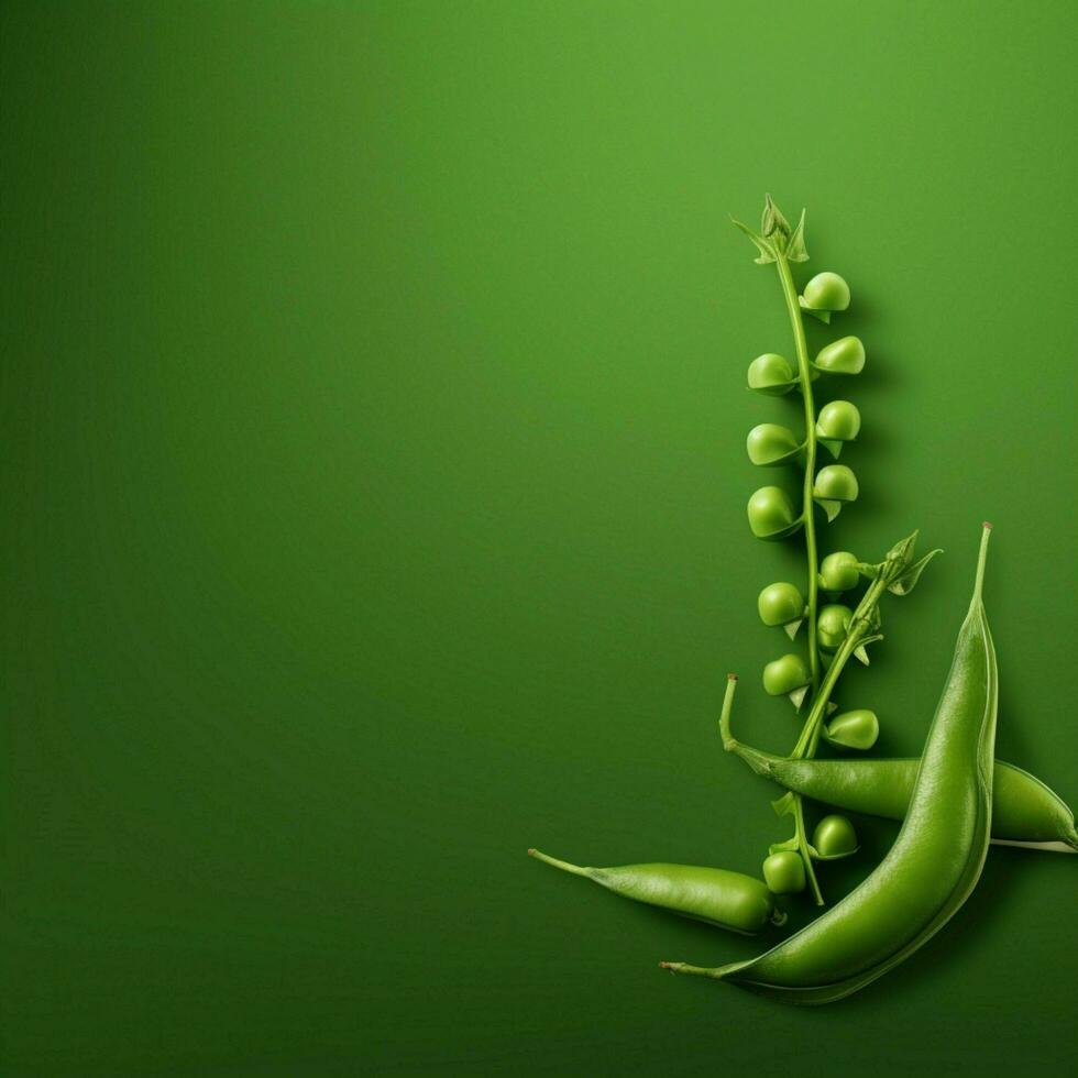 pea green Minimalist wallpaper photo