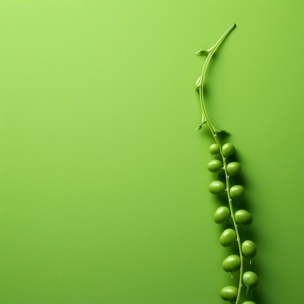 pea green Minimalist wallpaper photo