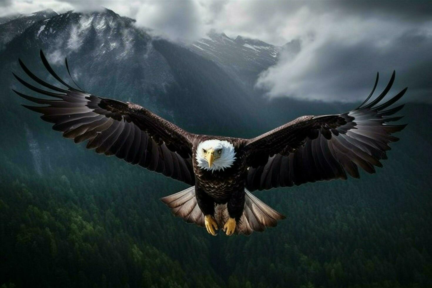 The soaring majesty of a bald eagle flying over sum photo