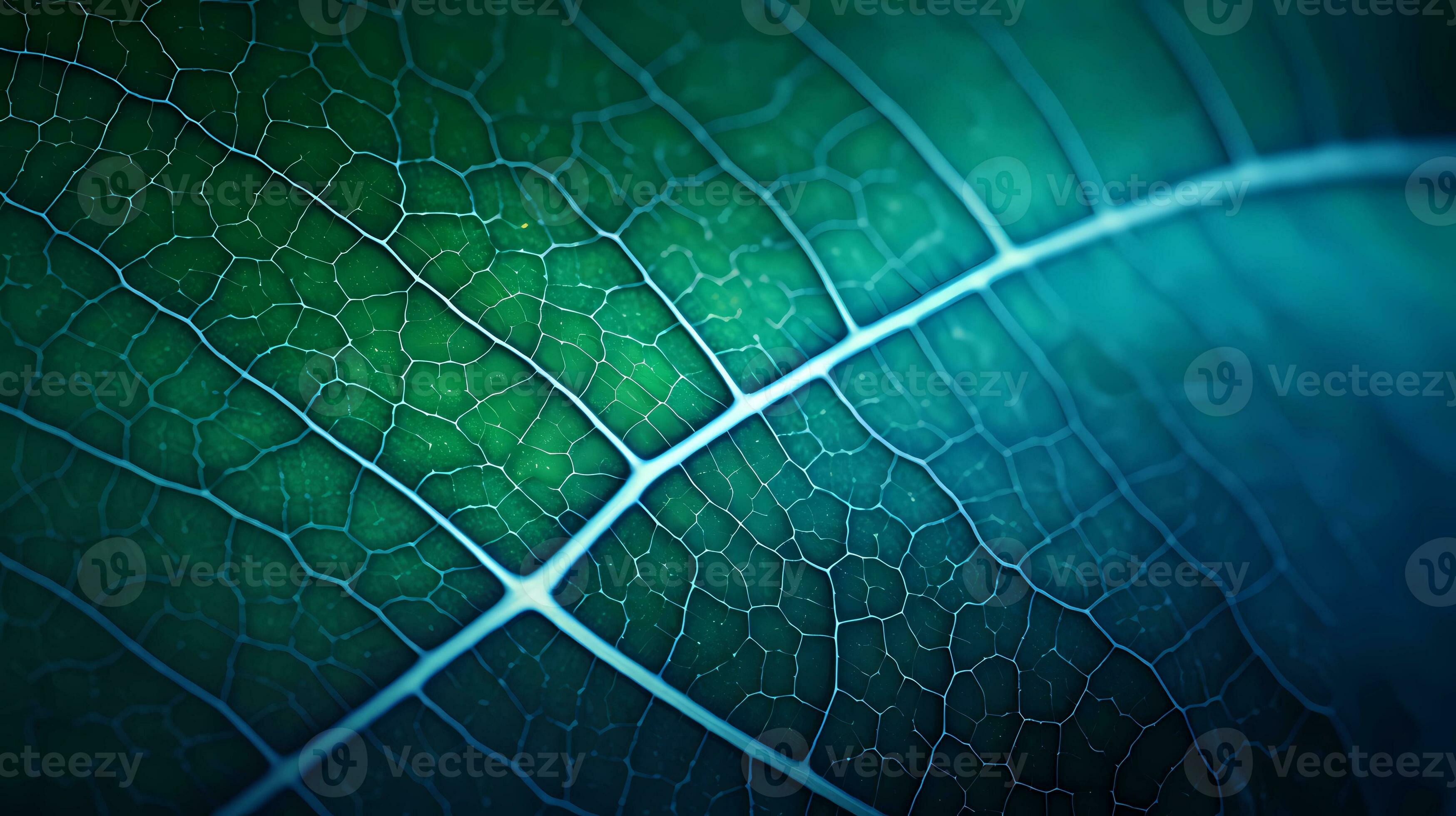 Close up image of a green leaf wallpaper nature backgrounds, in the