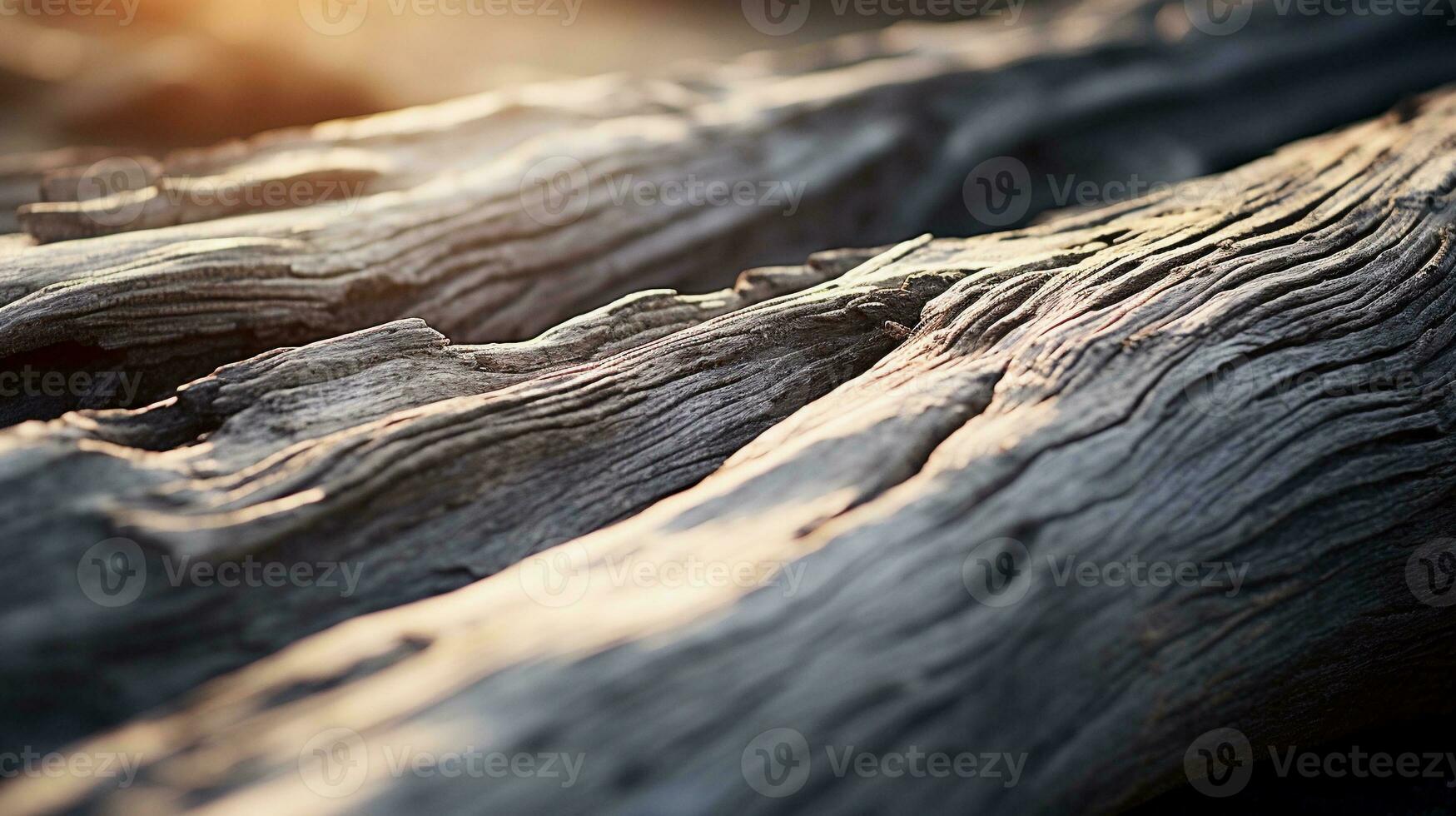 A macro shot capturing the delicate lines and pores of a piece of driftwood, celebrating the natural beauty of its weathered textures. AI generated. photo