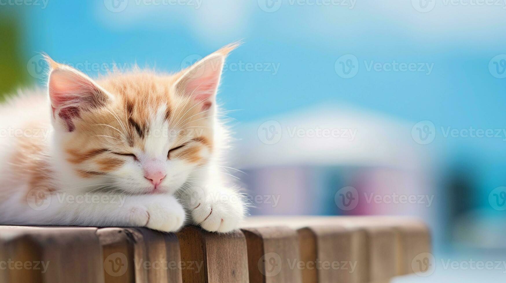 A sleepy calico kitten curled up on a pastel blue cushion with space for text, its serene expression contrasting against the cushion's soft background, ideal for text placement. AI generated. photo