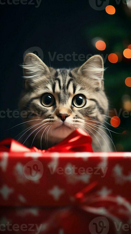 A cat peering curiously out from a Christmas gift box with space for text, vertical format, background image, generative AI photo