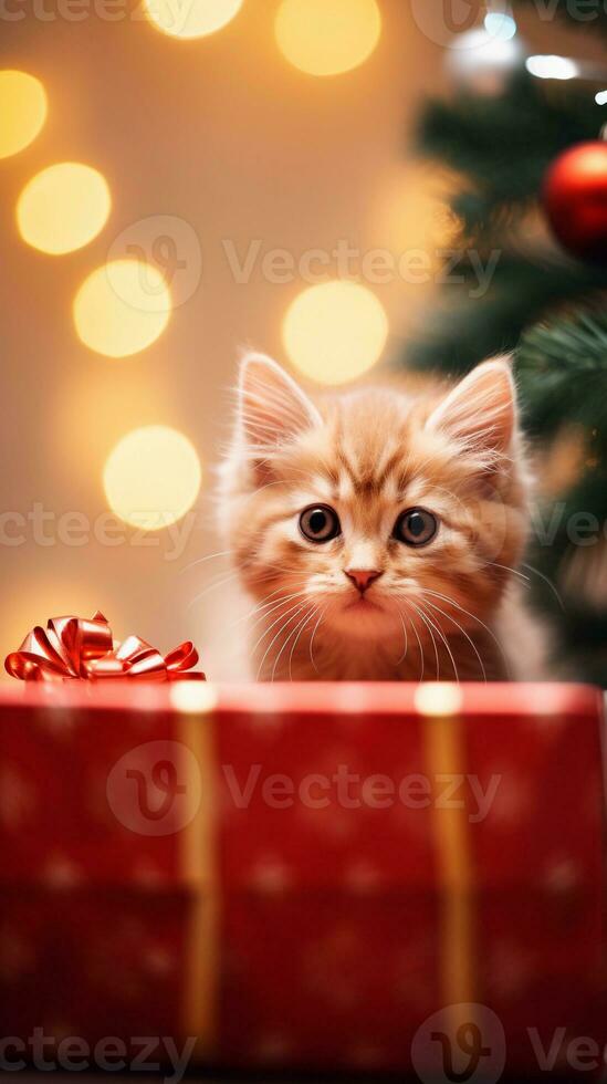 A cat peering curiously out from a Christmas gift box with space for text, vertical format, background image, generative AI photo
