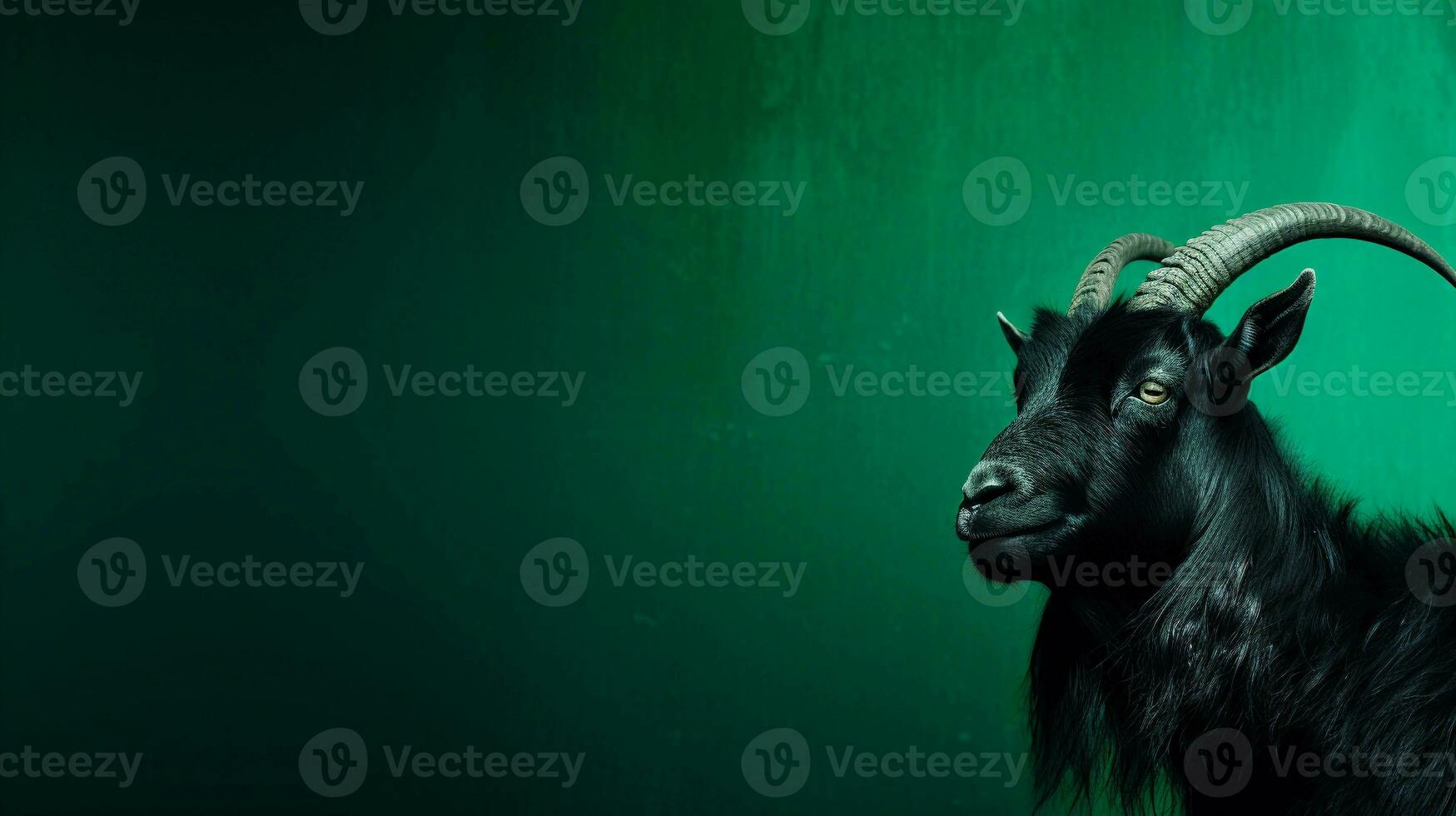 a black goat on a green textured background with space for text on the side, background image, generative AI photo