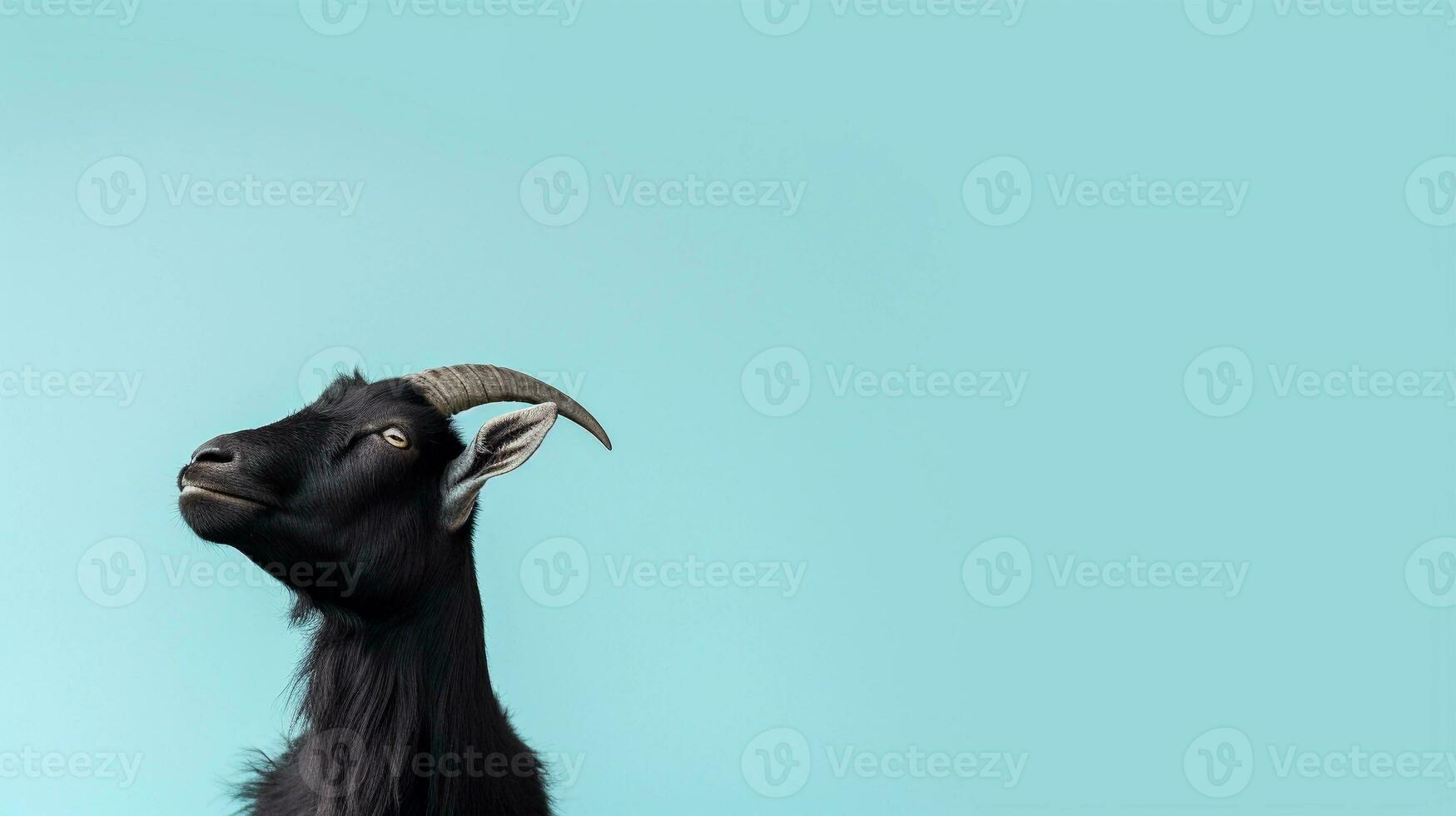 a black goat on a light blue background with space for text on the side, background image, generative AI photo