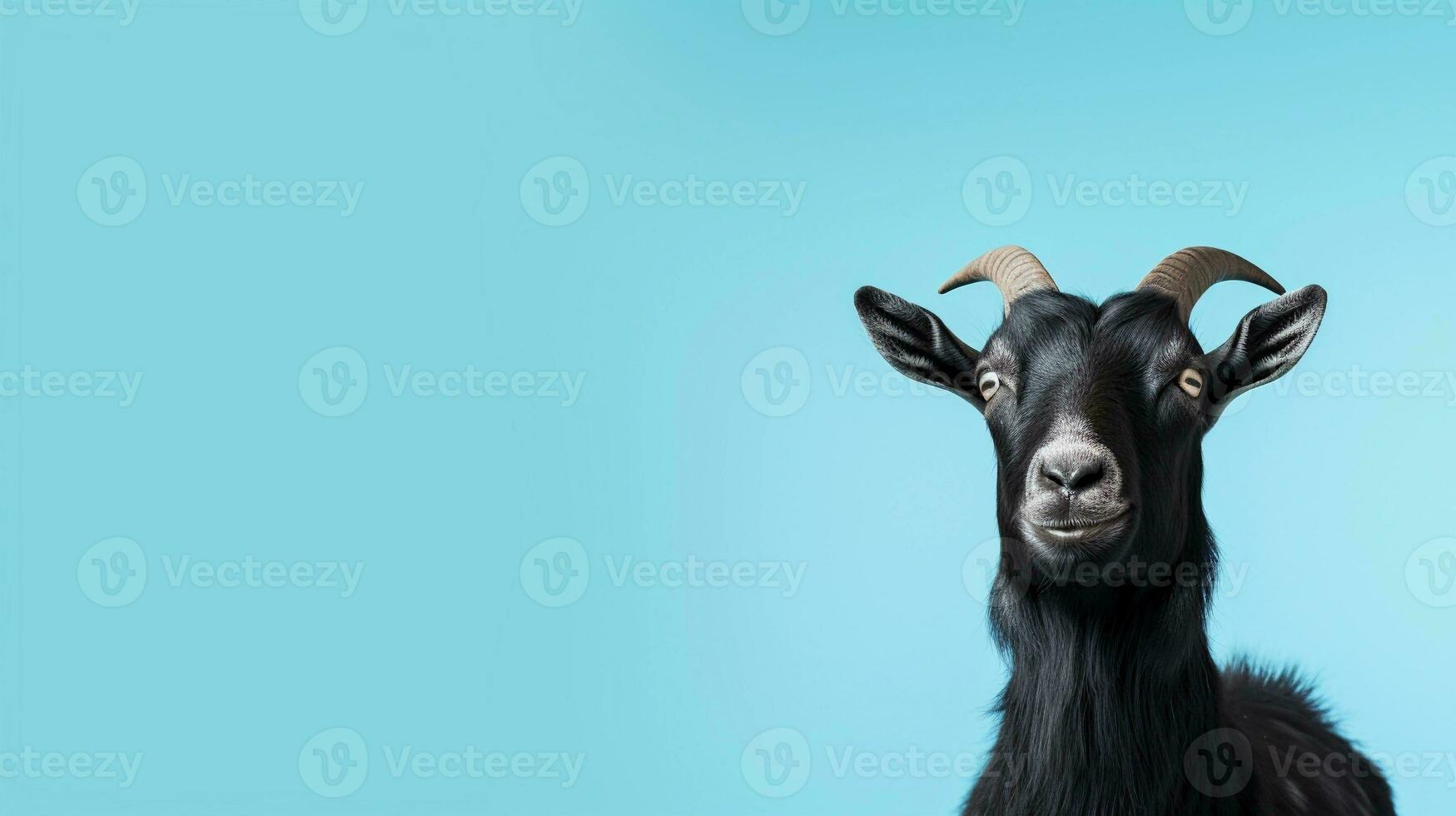 a black goat on a light blue background with space for text on the side, background image, generative AI photo