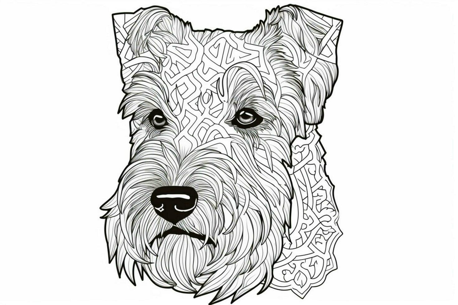 coloring book irish dog black photo