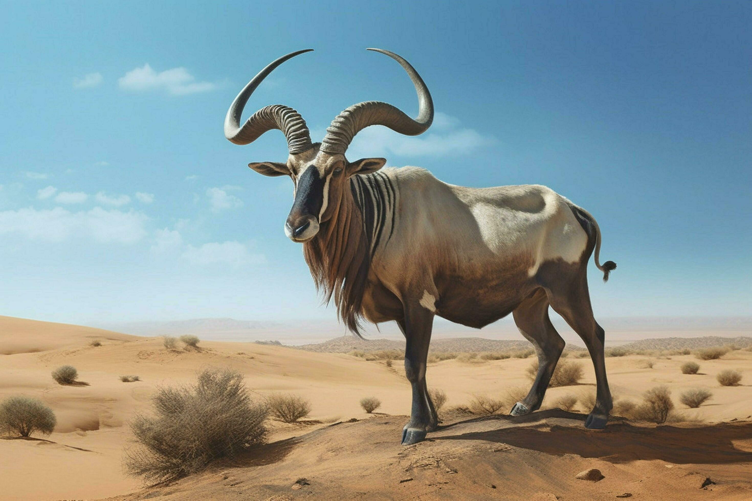 National Animal Of Libya 30640760 Stock Photo At Vecteezy national-animal-of-libya-30640760-stock-photo-at-vecteezy