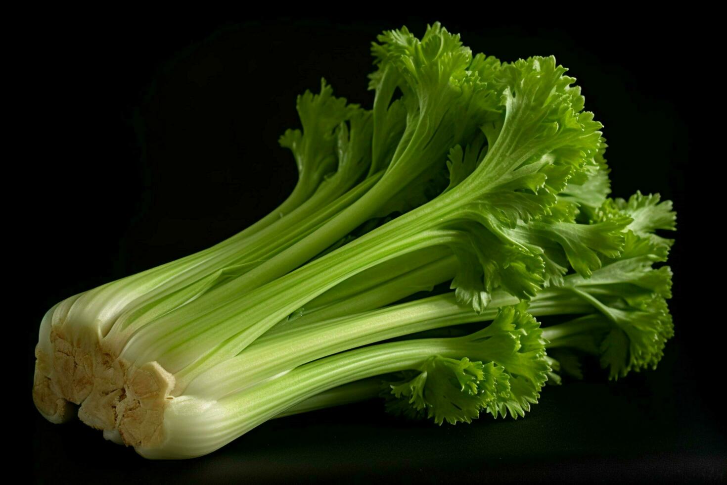 photo of celery with no background