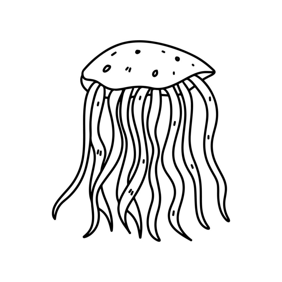 Jellyfish. Hand drawn doodle style. Vector illustration isolated on white. Coloring page.