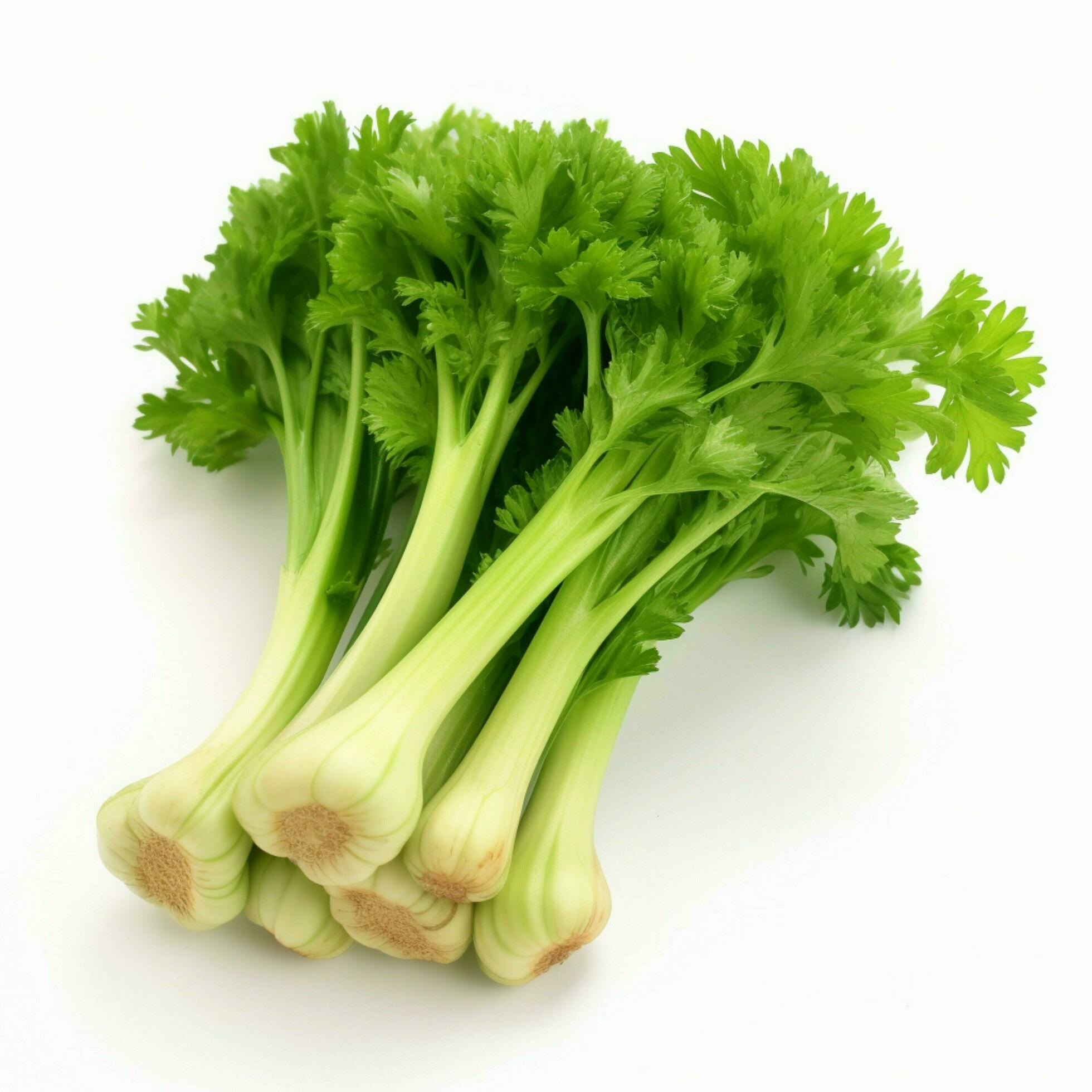 celery with transparent background high quality ultra hd 30663979 Stock