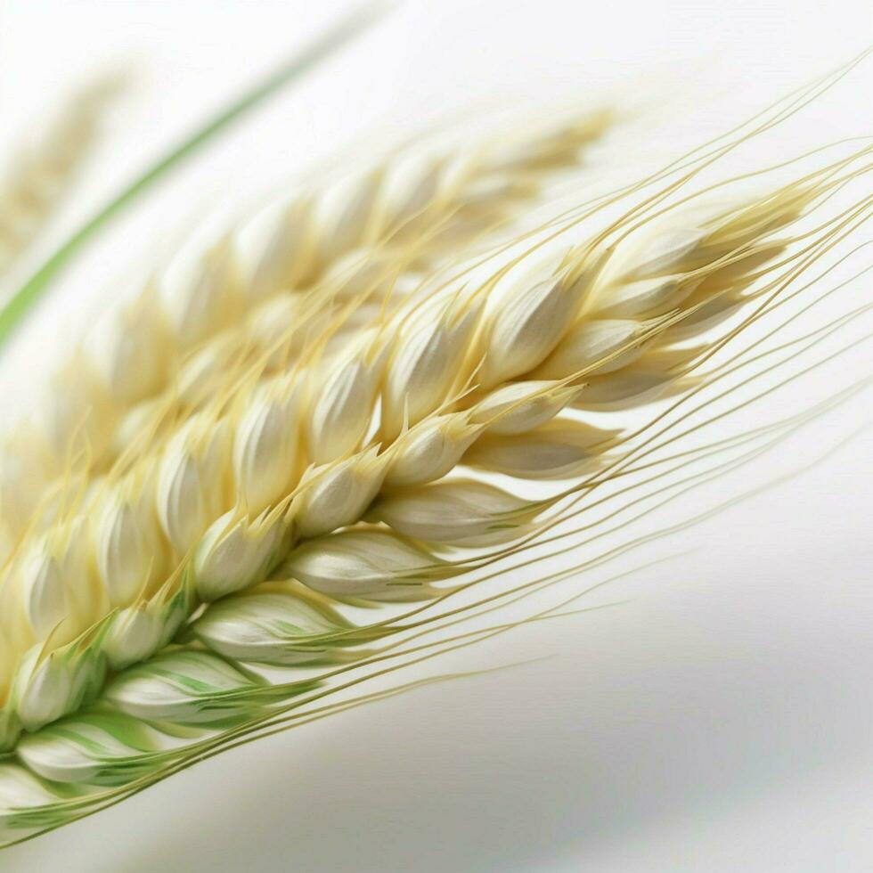 close - up transparent minimalist background realistic photo