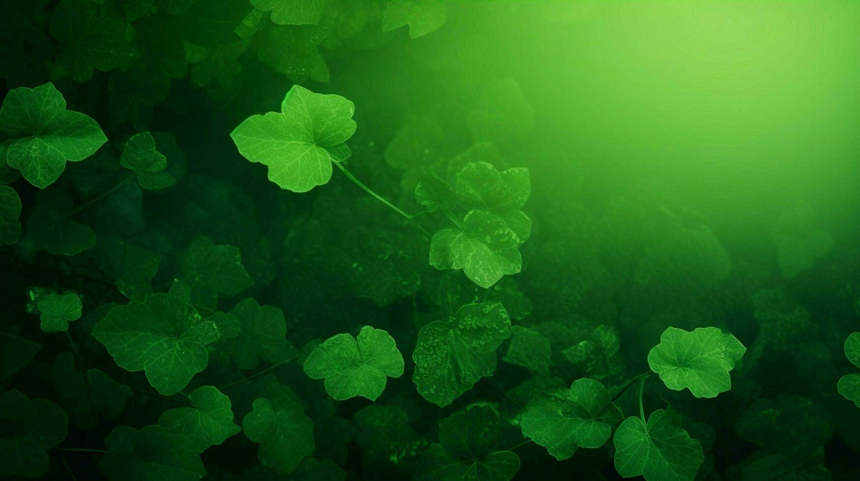 green background high quality photo